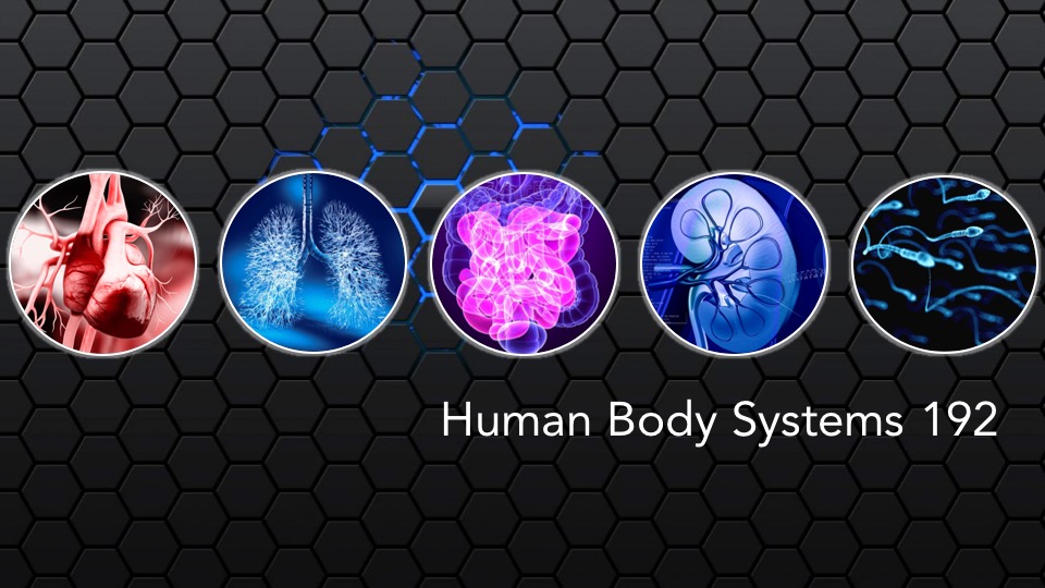 HUBS192-Human Body Systems 2 HUBS192