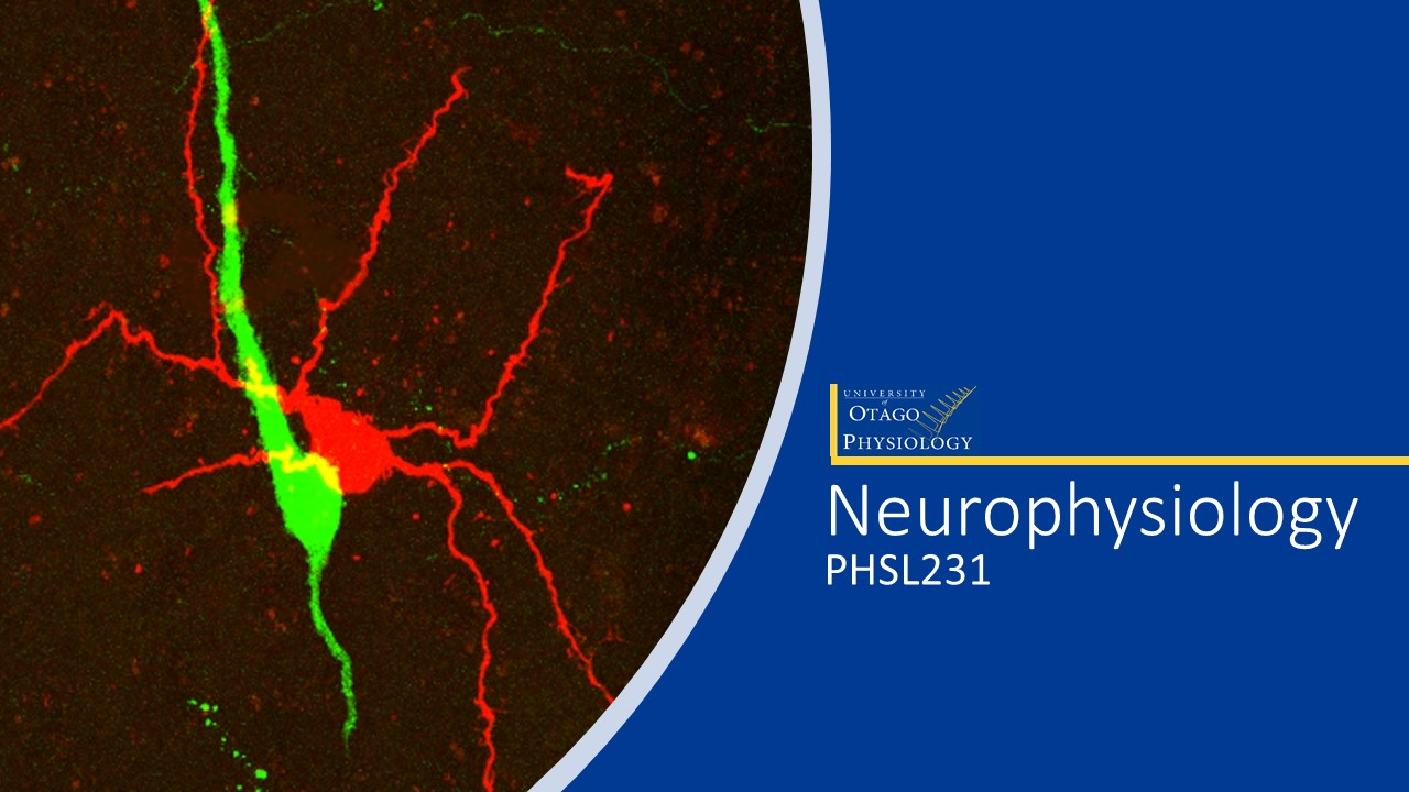 PHSL231 Neurophysiology 231