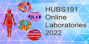 HUBS191 Online Laboratories HUBS191Labs