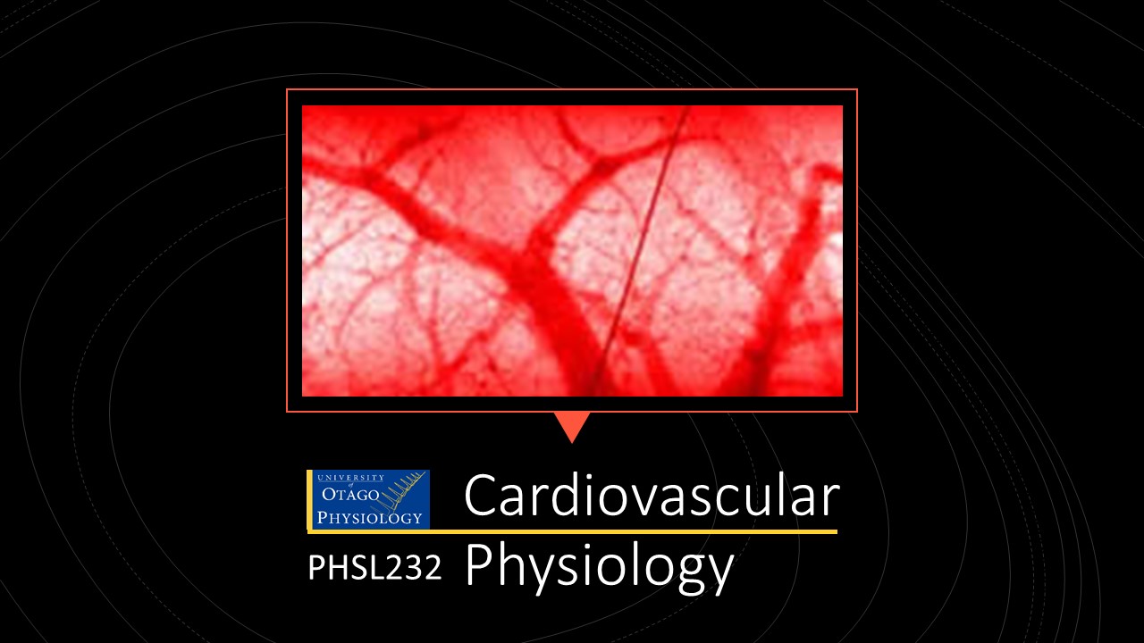 PHSL232 Cardiovascular and Respiratory Physiology PHSL232