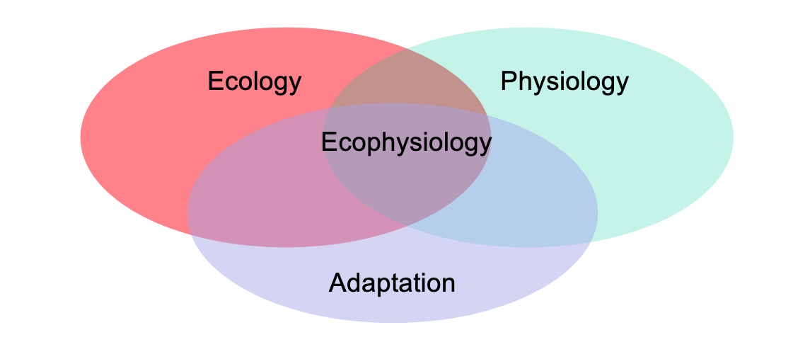 ZOOL313 - Animal Function and Environment ZOOL313